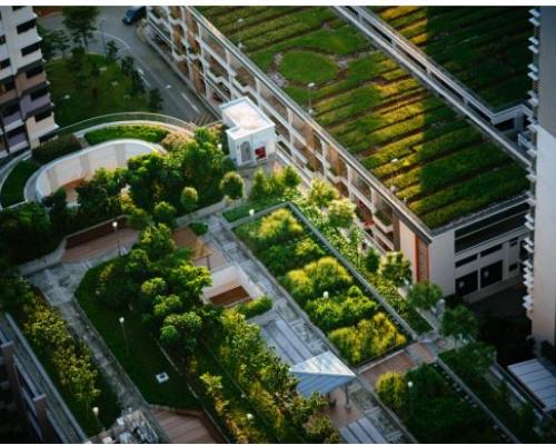 How can Urban Agriculture help us achieve Net Zero? image