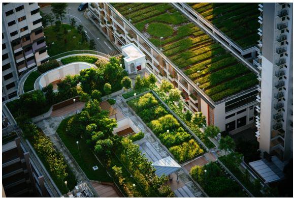 How can Urban Agriculture help us achieve Net Zero? image