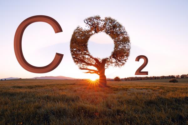 Carbon Dioxide Emissions for 2019 image